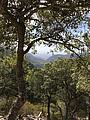 Views of Tramuntana