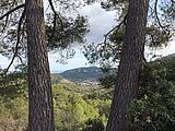 Ausblick