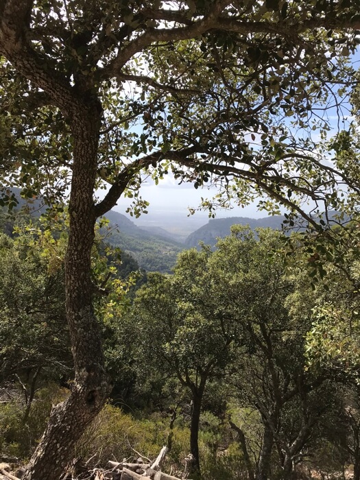 Views of Tramuntana